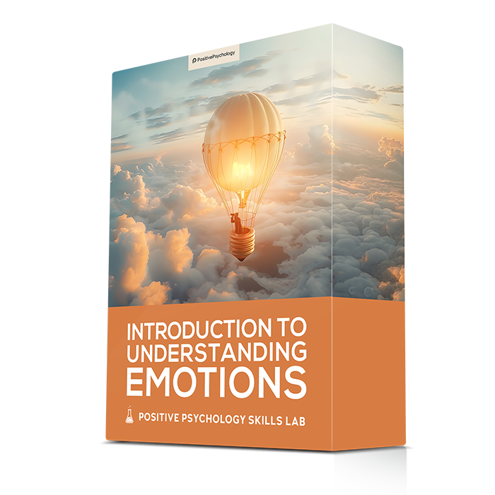 Introduction to Understanding Emotions©