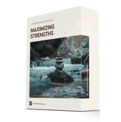 Maximizing Strengths Masterclass©