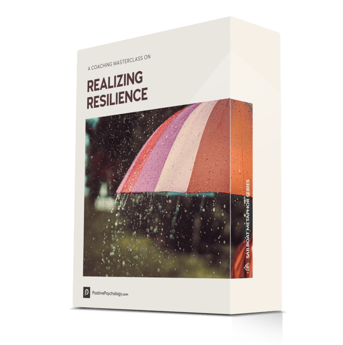 Realizing Resilience Masterclass©